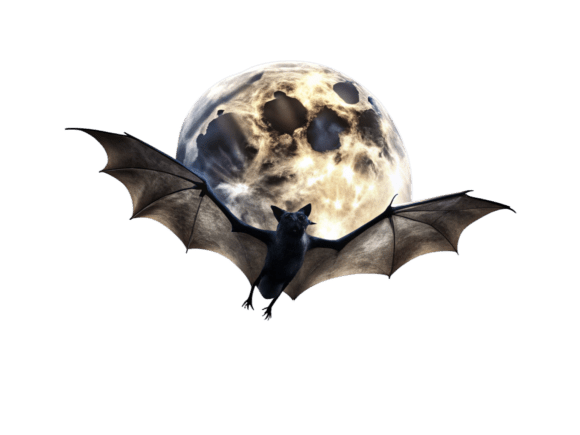 Bats Flying Across a Full Moon: A Designer's Review
