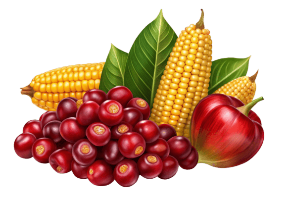 Cranberry with Leaves on Transparent: A Designer's Review