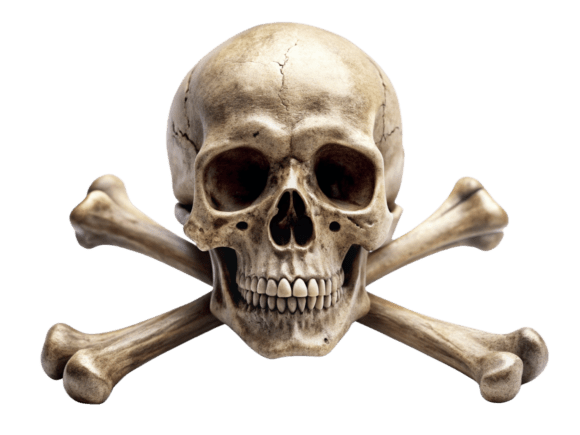 Review: Watercolor Skull and Crossbones Logo for Embroidery
